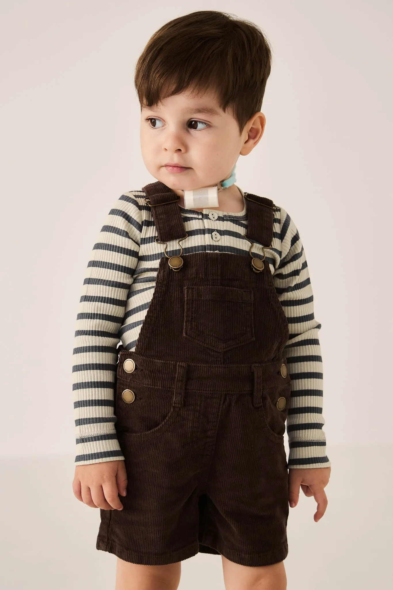 Casey Cord Short Overall - Bear